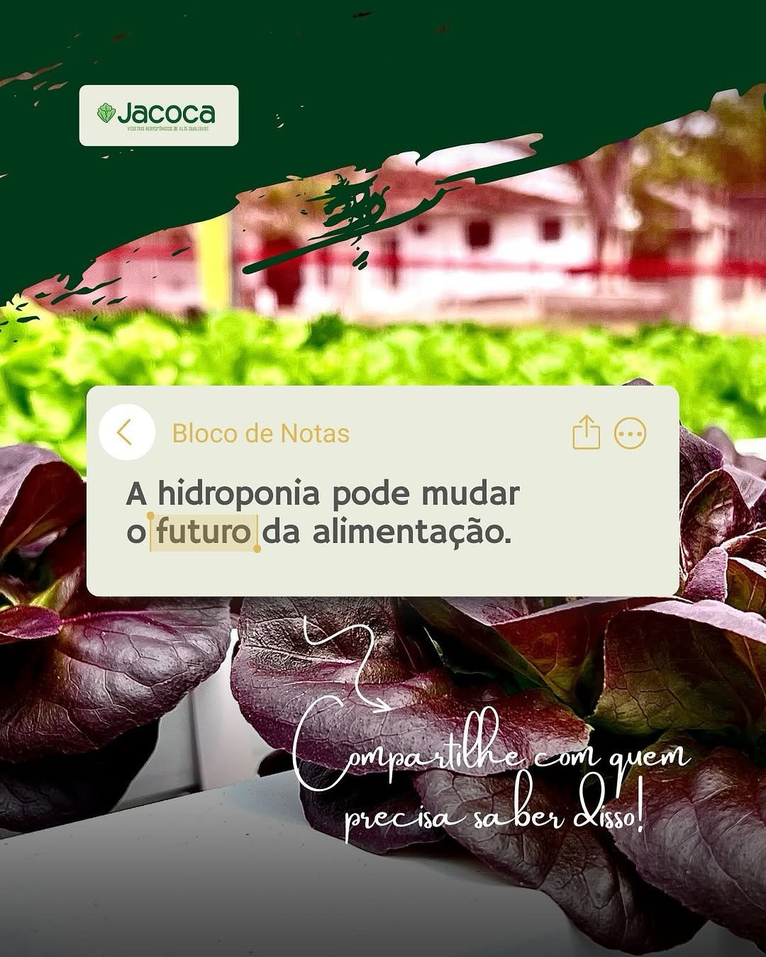 Sustentabilidade Jacoca